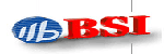 BSI