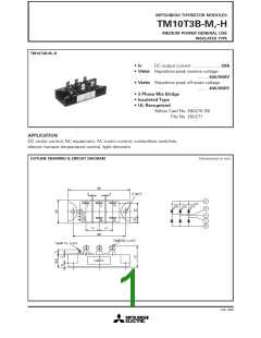 浏览型号TM10T3B-H的Datasheet PDF文件第1页