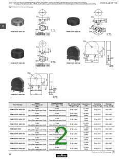 浏览型号PKM17EPP-2002-B0的Datasheet PDF文件第2页