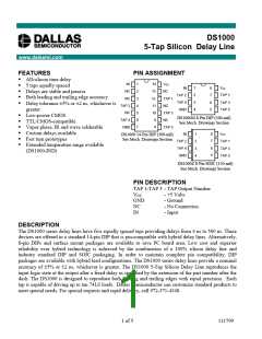 浏览型号DS1000-250-IND的Datasheet PDF文件第1页