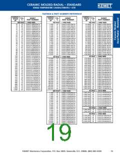 浏览型号C062C102K5G5CA的Datasheet PDF文件第19页