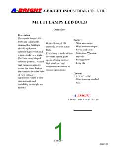 浏览型号AB-125W20-3VD-E0L-0的Datasheet PDF文件第1页