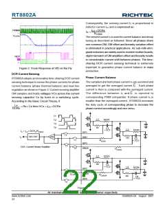 浏览型号RT8802A的Datasheet PDF文件第22页