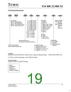 浏览型号TSC80C31-20CB的Datasheet PDF文件第19页