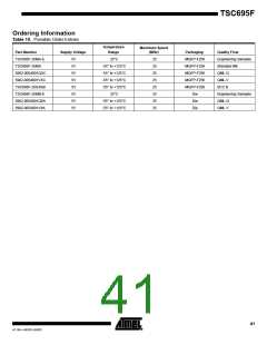 浏览型号5962-0054001V9X的Datasheet PDF文件第41页