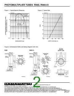 浏览型号R980的Datasheet PDF文件第2页