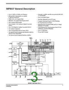 浏览型号56F8037_07的Datasheet PDF文件第3页