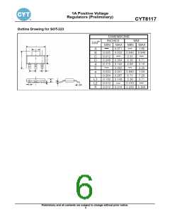 浏览型号CYT8117TA的Datasheet PDF文件第6页
