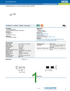 浏览型号7010.9968.XX的Datasheet PDF文件第1页