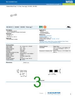 浏览型号7010.9968.XX的Datasheet PDF文件第3页