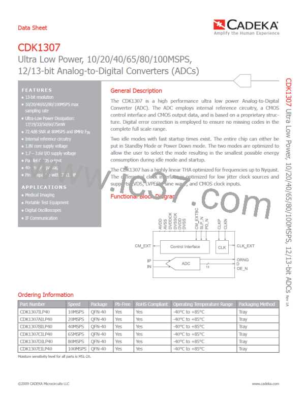 CDK1307ILP40图片预览