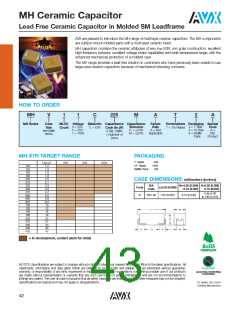 浏览型号SM045C156KHN650的Datasheet PDF文件第43页