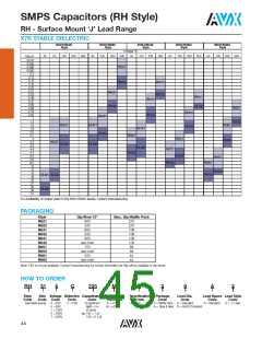 浏览型号SM045C156KHN650的Datasheet PDF文件第45页