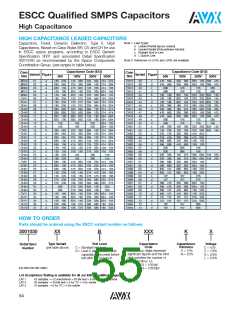 浏览型号SM045C156KHN650的Datasheet PDF文件第55页