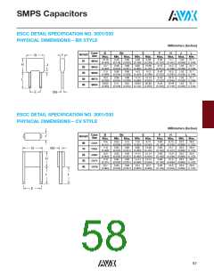 浏览型号SM045C156KHN650的Datasheet PDF文件第58页