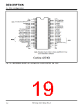 浏览型号7906的Datasheet PDF文件第19页