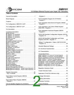 浏览型号DM9101F的Datasheet PDF文件第2页