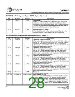浏览型号DM9101F的Datasheet PDF文件第28页