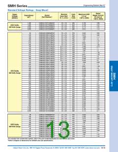 浏览型号ESMH350VSN223MR50T的Datasheet PDF文件第13页