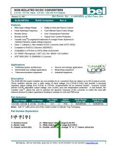 浏览型号SLIN-06F2AL的Datasheet PDF文件第1页
