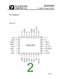 浏览型号ES51993的Datasheet PDF文件第2页