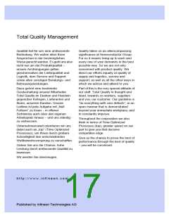 浏览型号ICE2QS01的Datasheet PDF文件第17页
