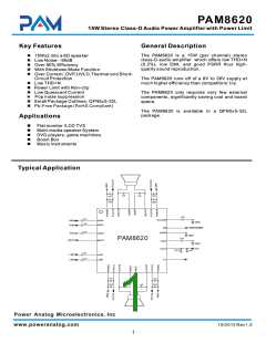 浏览型号PAM8620的Datasheet PDF文件第1页