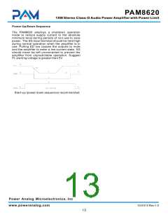 浏览型号PAM8620的Datasheet PDF文件第13页