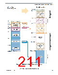 浏览型号MC9S12XEP100MAG的Datasheet PDF文件第211页