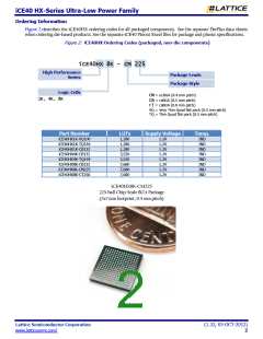 浏览型号iCE40HX4K-TQ144的Datasheet PDF文件第2页