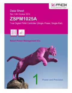 浏览型号ZSPM1025AA1W1的Datasheet PDF文件第1页
