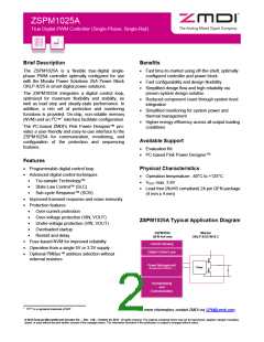 浏览型号ZSPM1025AA1W1的Datasheet PDF文件第2页