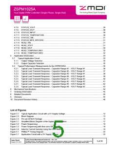 浏览型号ZSPM1025AA1W1的Datasheet PDF文件第5页