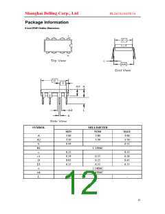 浏览型号BL24C08的Datasheet PDF文件第12页