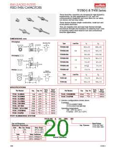 浏览型号DS306-55Y5S222M50的Datasheet PDF文件第20页