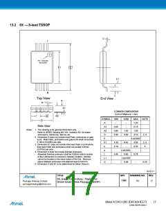浏览型号AT24C128C-SSHM-T的Datasheet PDF文件第17页