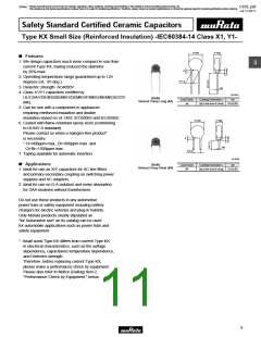 浏览型号DE21XE2102JA4B的Datasheet PDF文件第11页