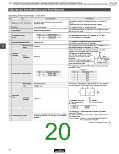 浏览型号DE21XE2102JA4B的Datasheet PDF文件第20页
