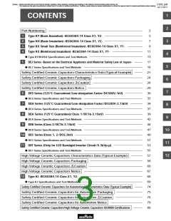 浏览型号DE21XE2102JA4B的Datasheet PDF文件第3页