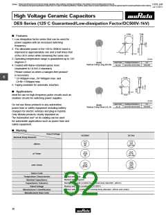 浏览型号DE21XE2102JA4B的Datasheet PDF文件第32页
