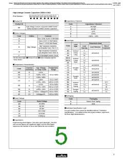 浏览型号DE21XE2102JA4B的Datasheet PDF文件第5页