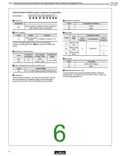 浏览型号DE21XE2102JA4B的Datasheet PDF文件第6页