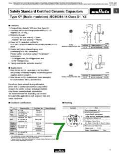 浏览型号DE21XE2102JA4B的Datasheet PDF文件第7页