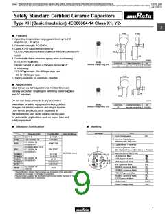 浏览型号DE21XE2102JA4B的Datasheet PDF文件第9页