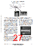 浏览型号MMA1250D的Datasheet PDF文件第27页