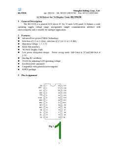 浏览型号BL55028的Datasheet PDF文件第1页