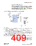 浏览型号EP2C20F256C8N的Datasheet PDF文件第409页