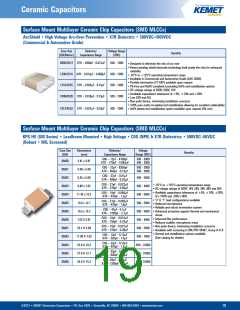 浏览型号1206的Datasheet PDF文件第19页