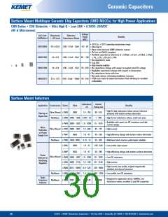 浏览型号1206的Datasheet PDF文件第30页