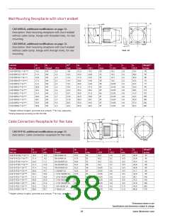 浏览型号CA3106F20-24SXB的Datasheet PDF文件第38页